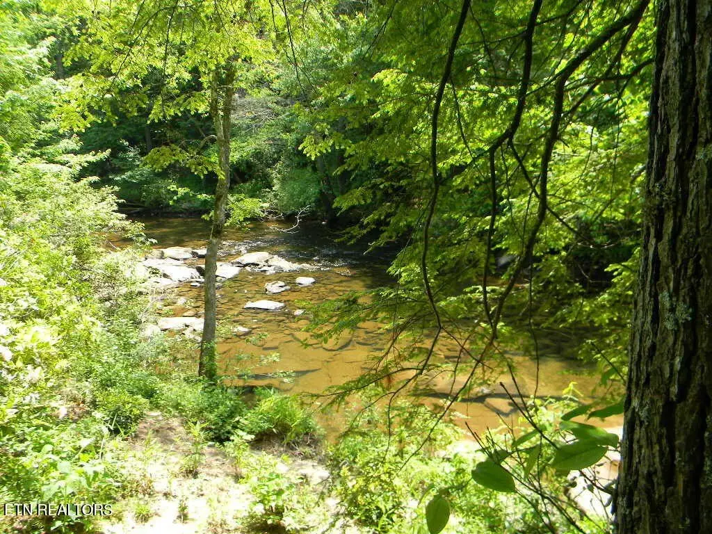 Picture 19