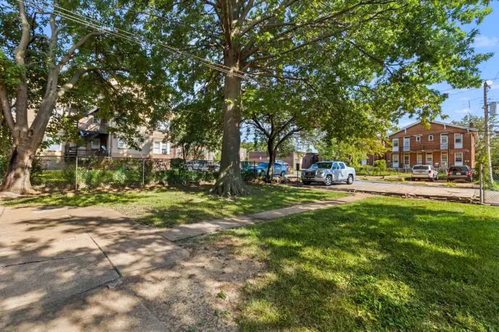 Picture 21