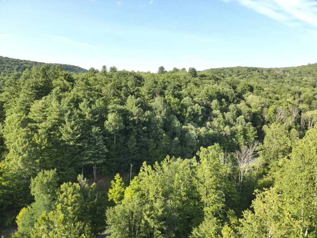 Picture 43