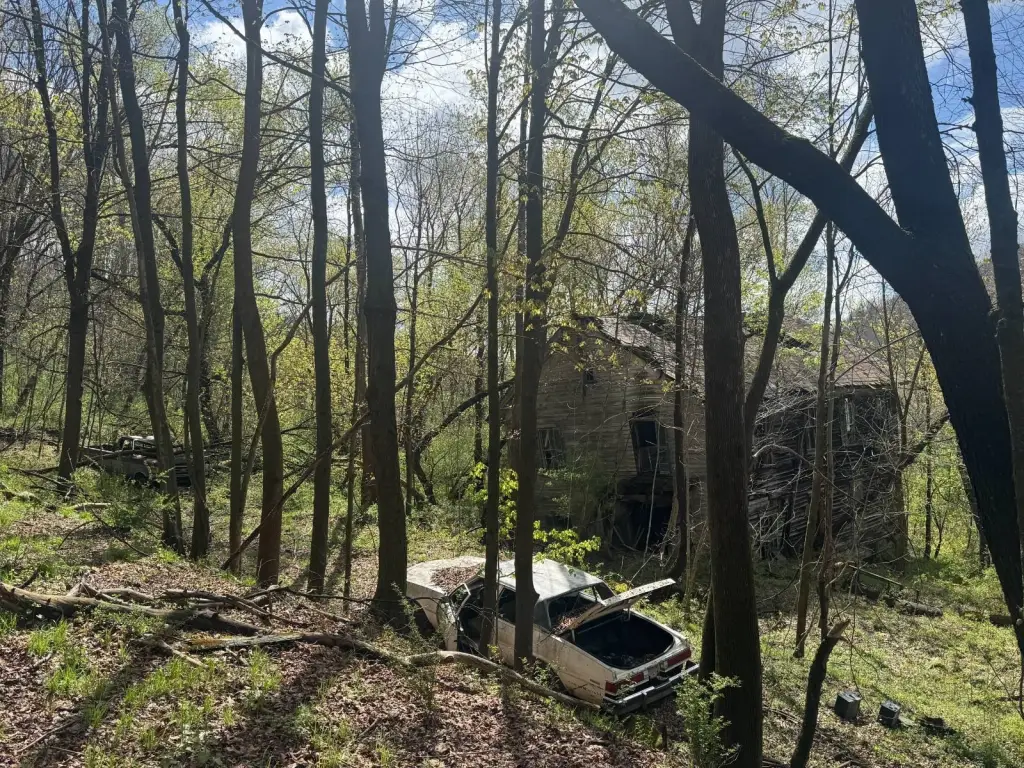 Picture 18