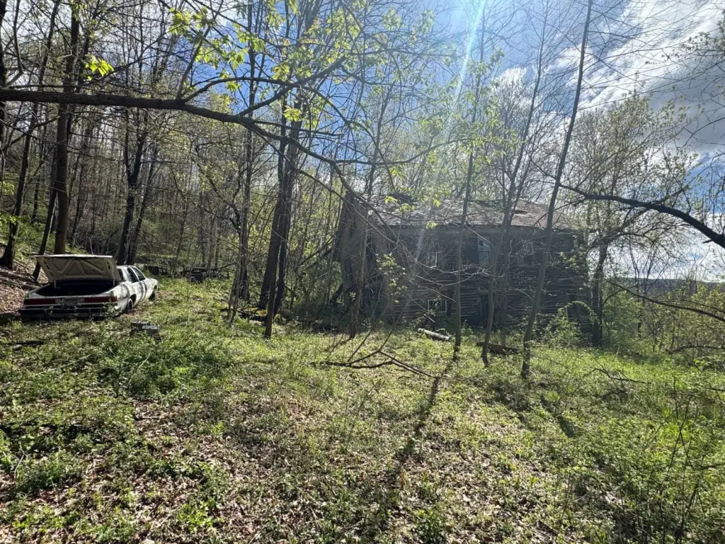Picture 19