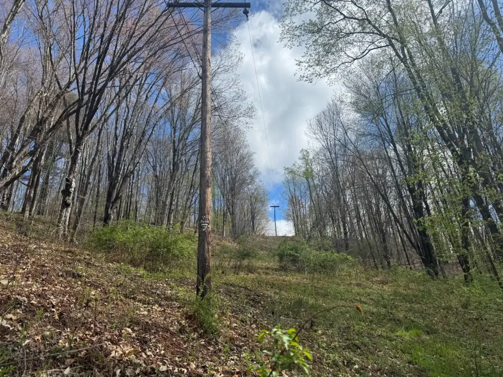 Picture 34