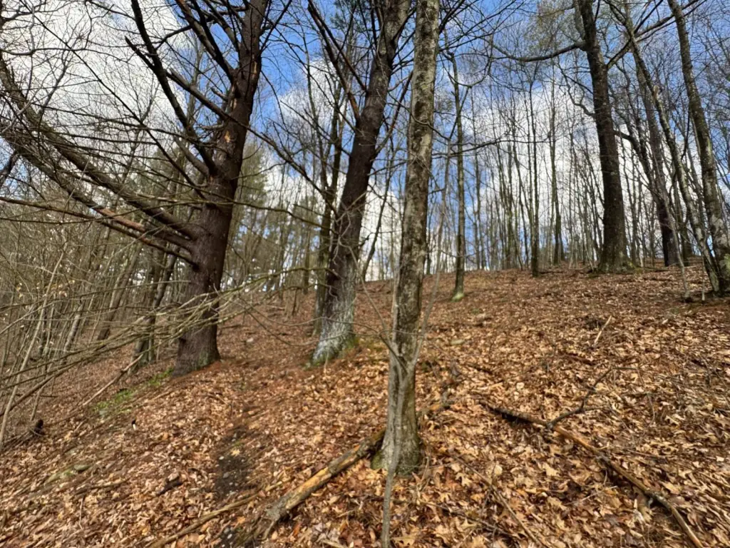 Picture 16