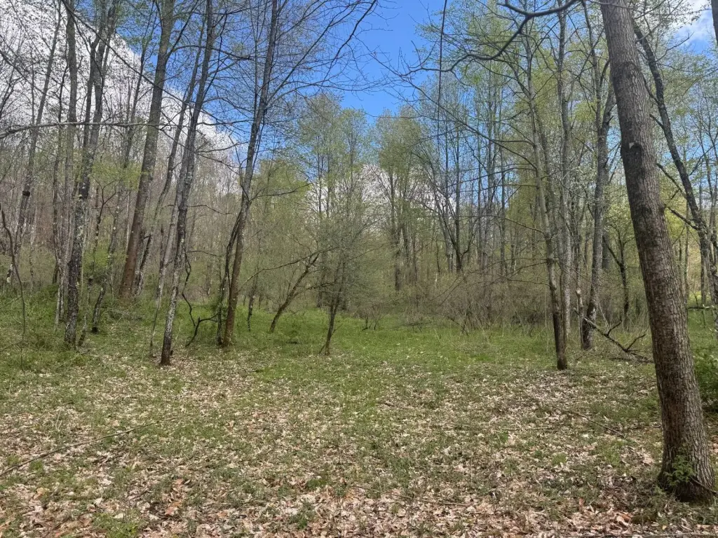 Picture 6