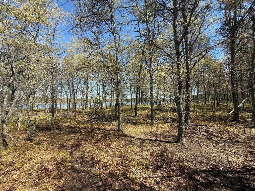 Picture 33