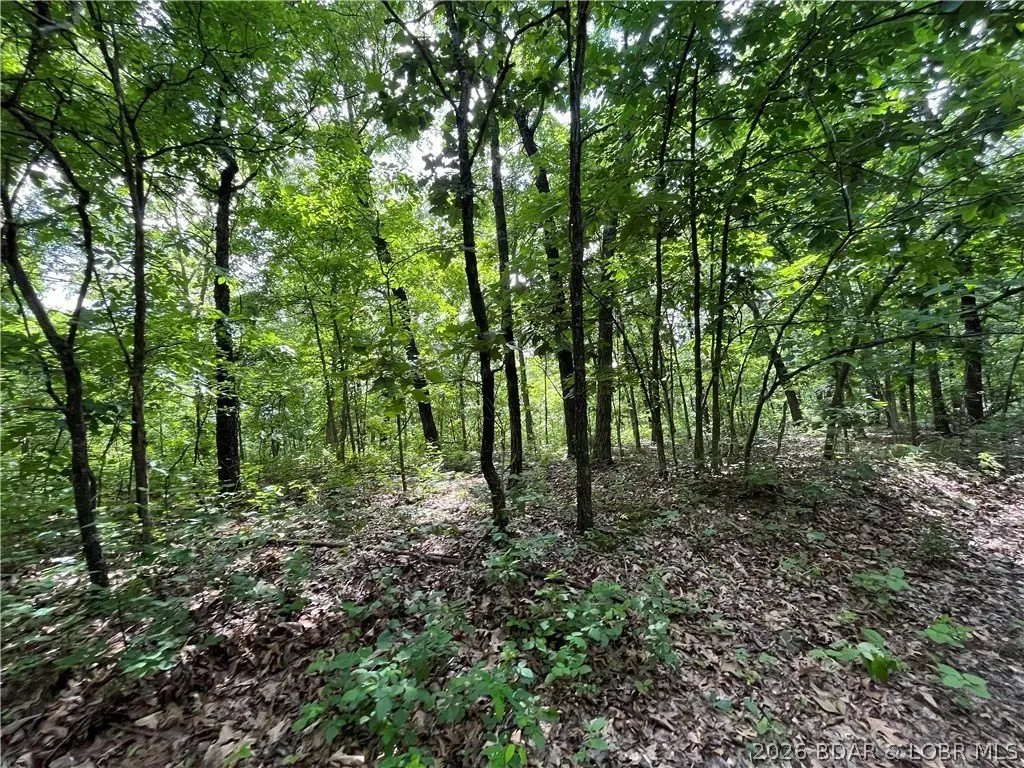 Picture 5