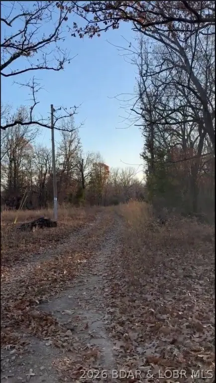 Picture 4