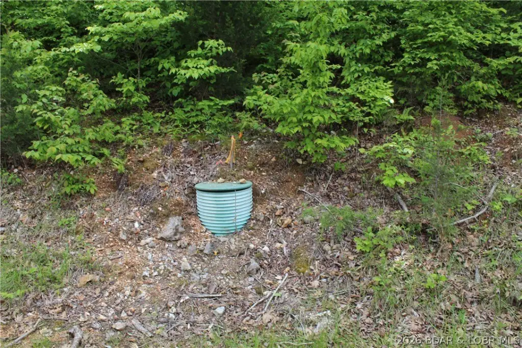 Picture 5