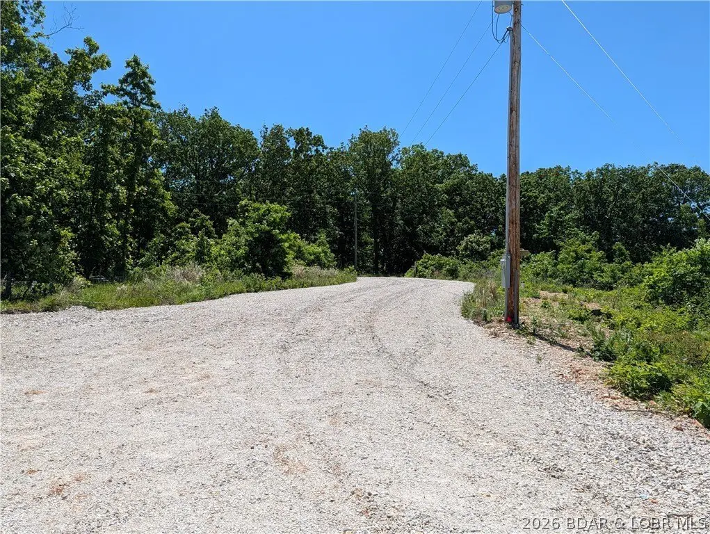 Picture 11