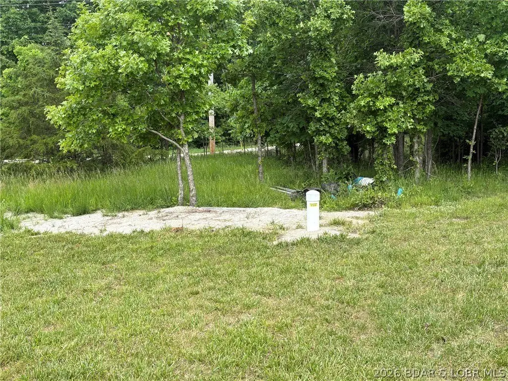 Picture 5