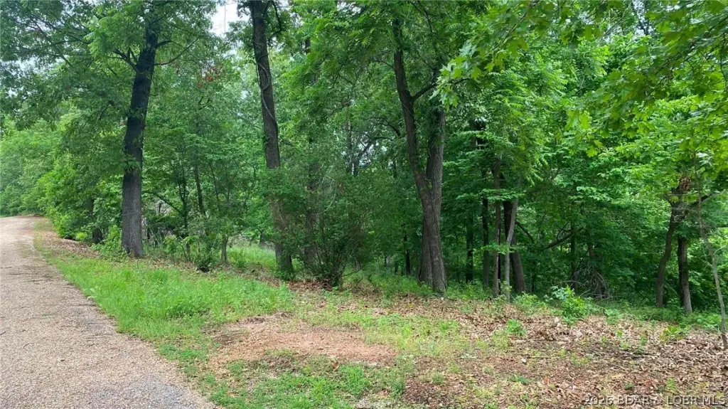 Picture 6