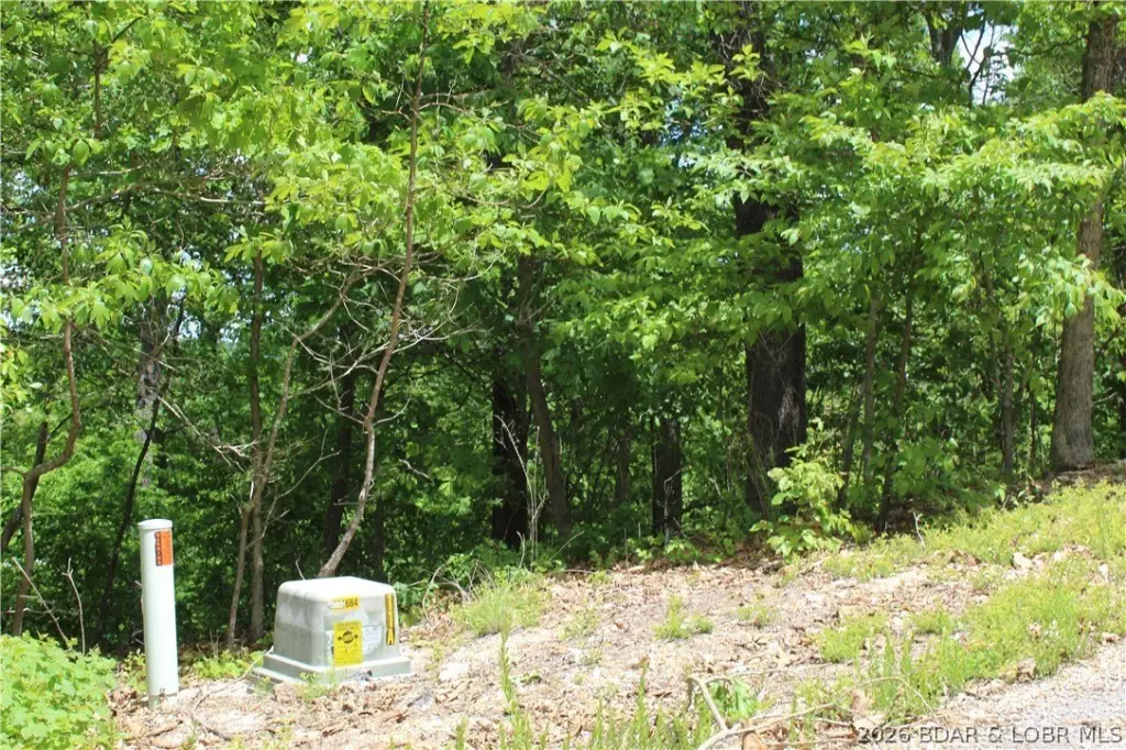 Picture 10