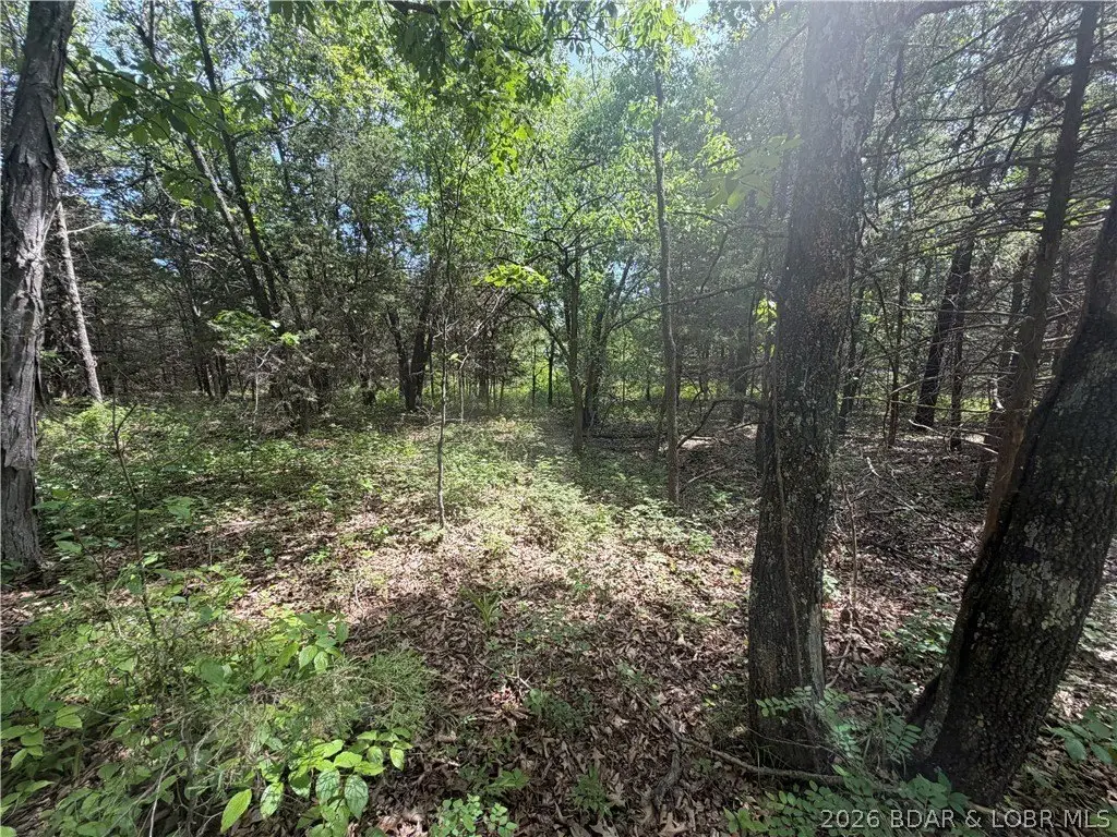 Picture 15