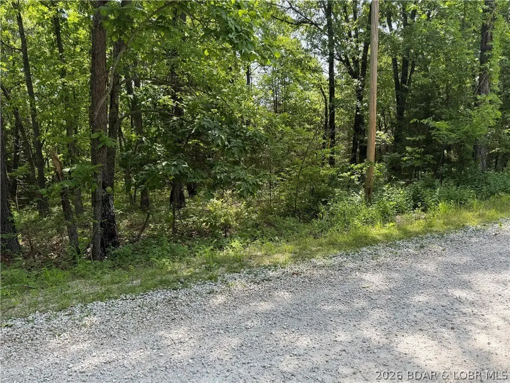 Picture 18