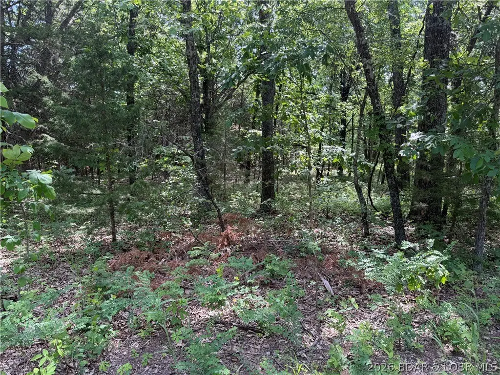 Picture 14