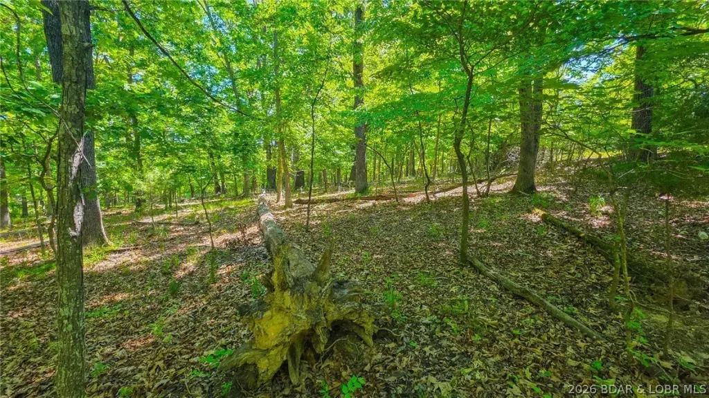 Picture 10