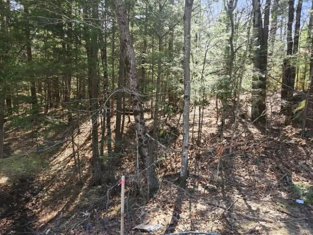 Picture 19
