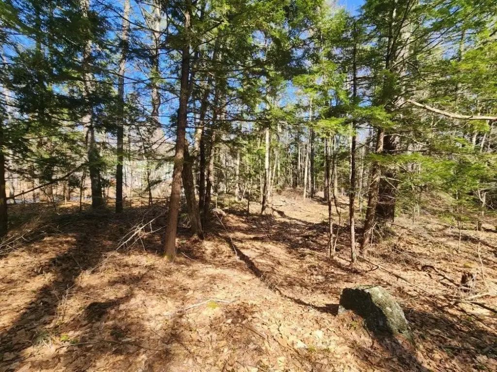 Picture 17