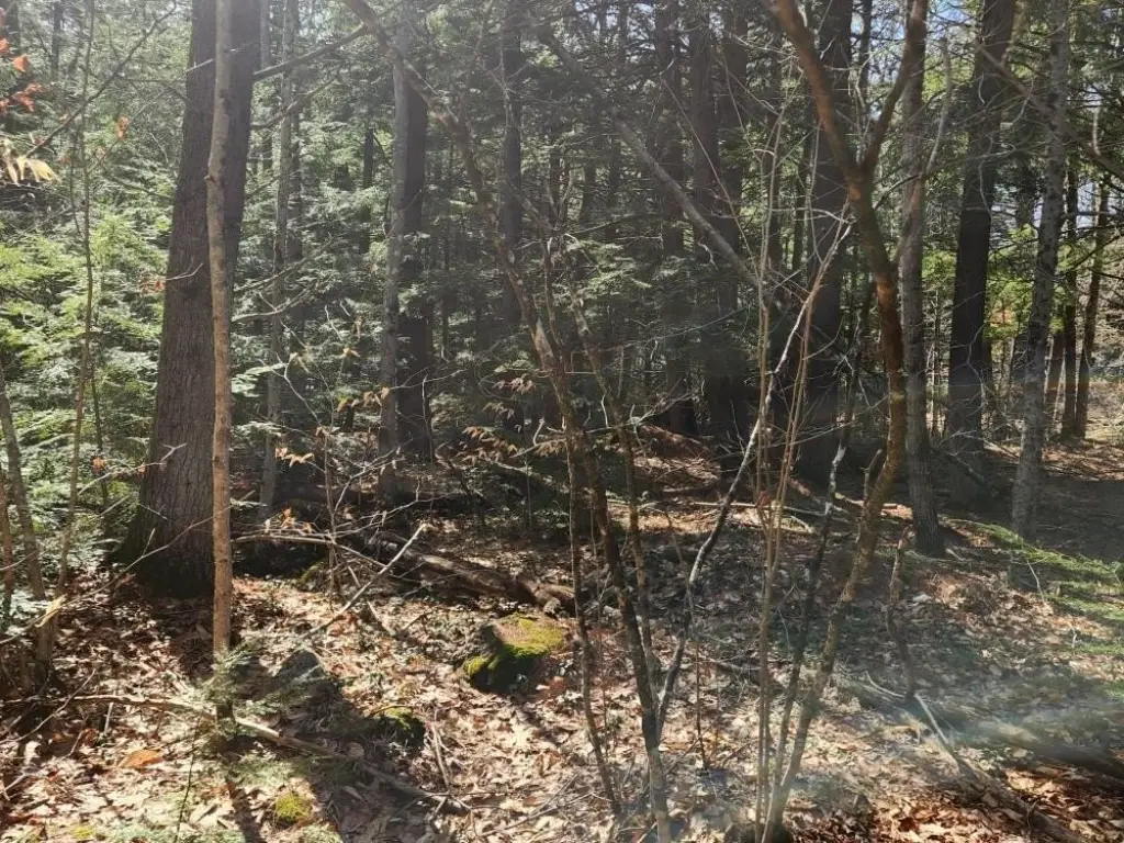 Picture 16