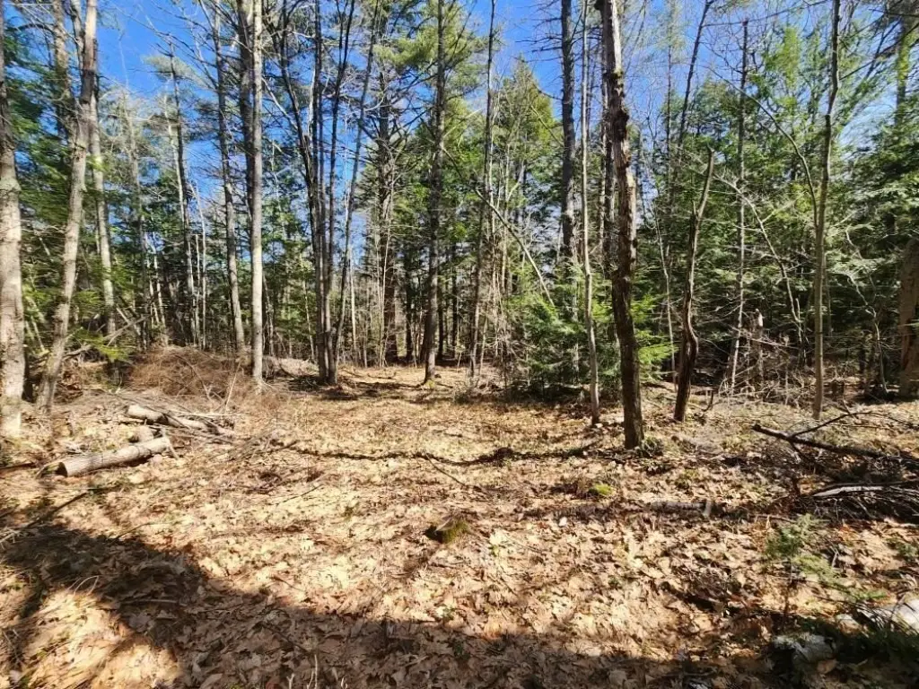 Picture 9