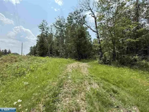 Angora, MN: 120 Acres Land