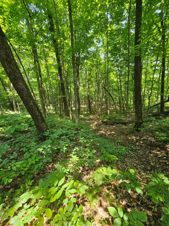 Picture 18