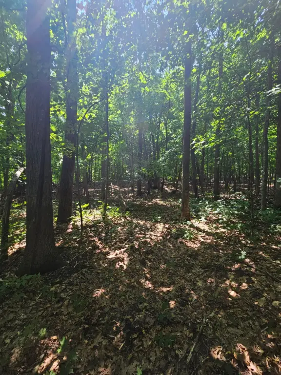 Picture 22