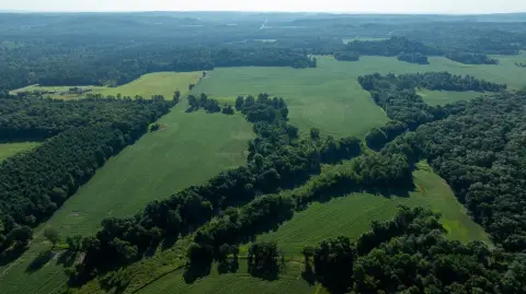 Hunting and Recreational Land
