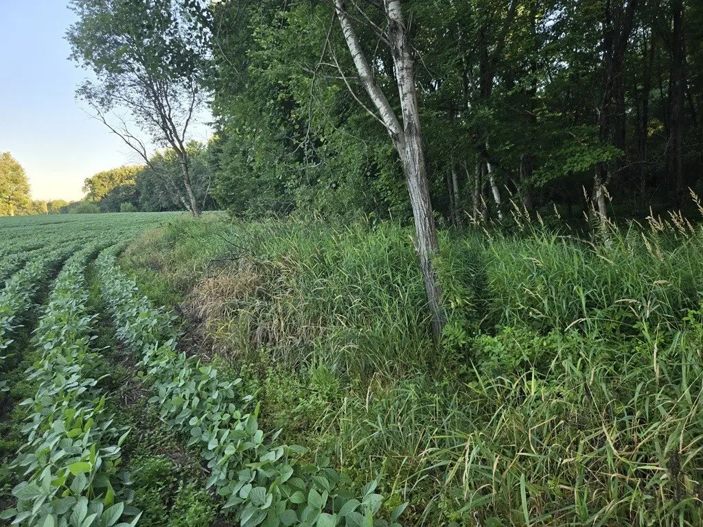 Picture 19