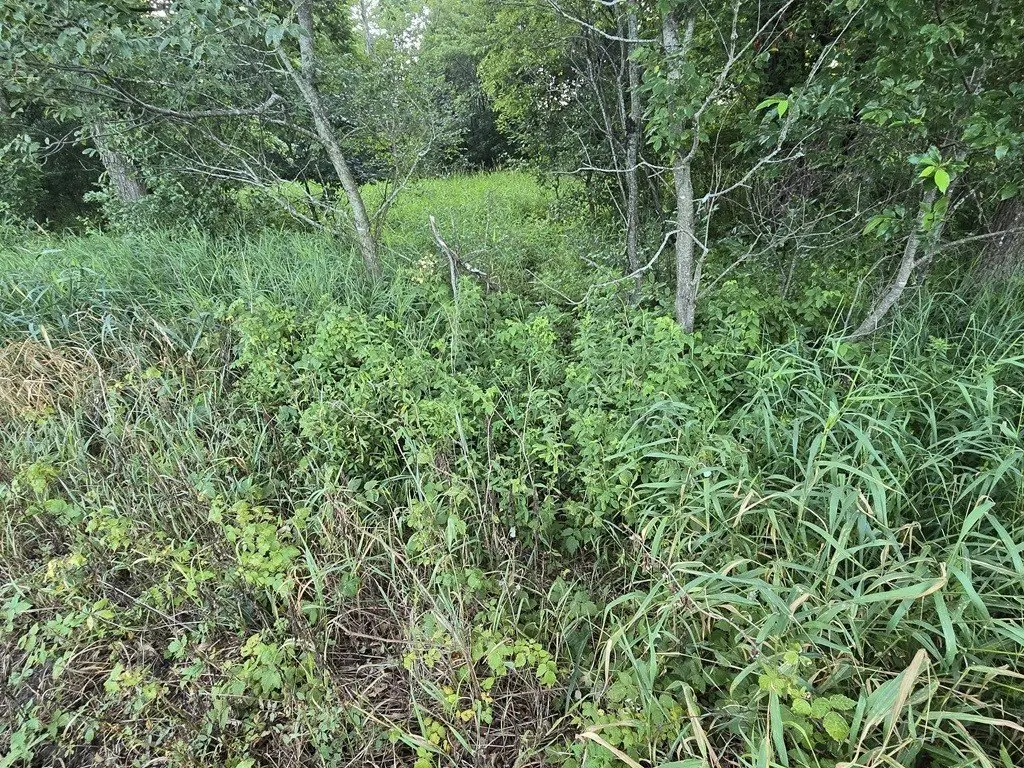 Picture 21