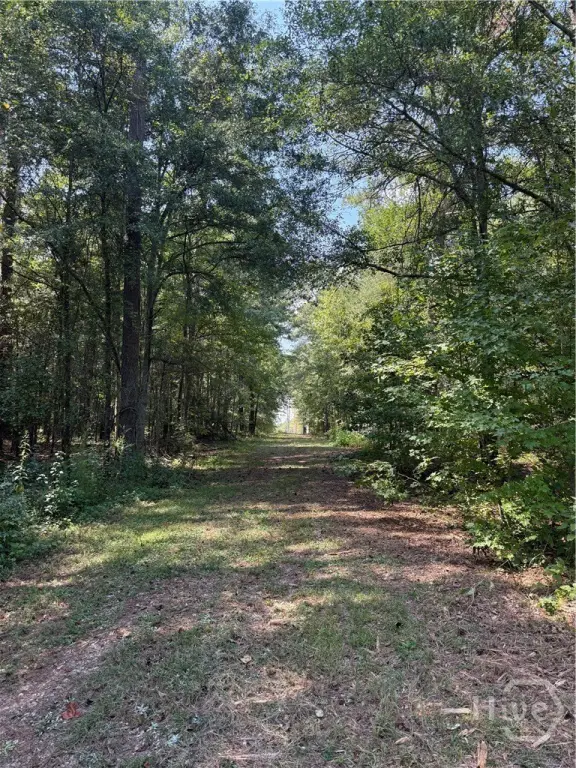 Picture 3