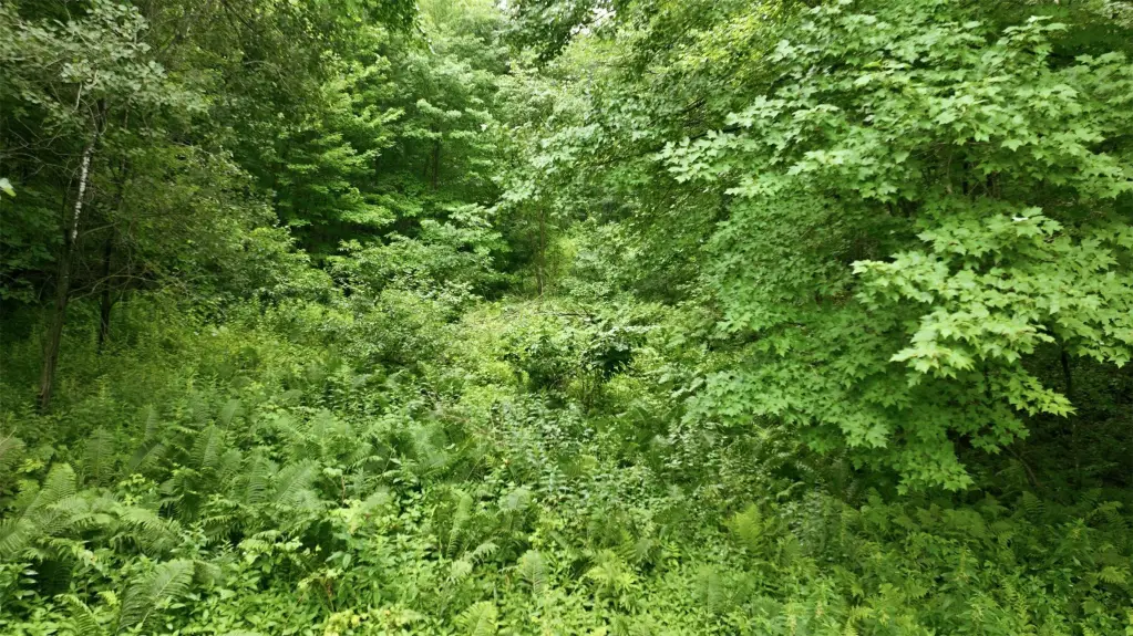 Picture 12