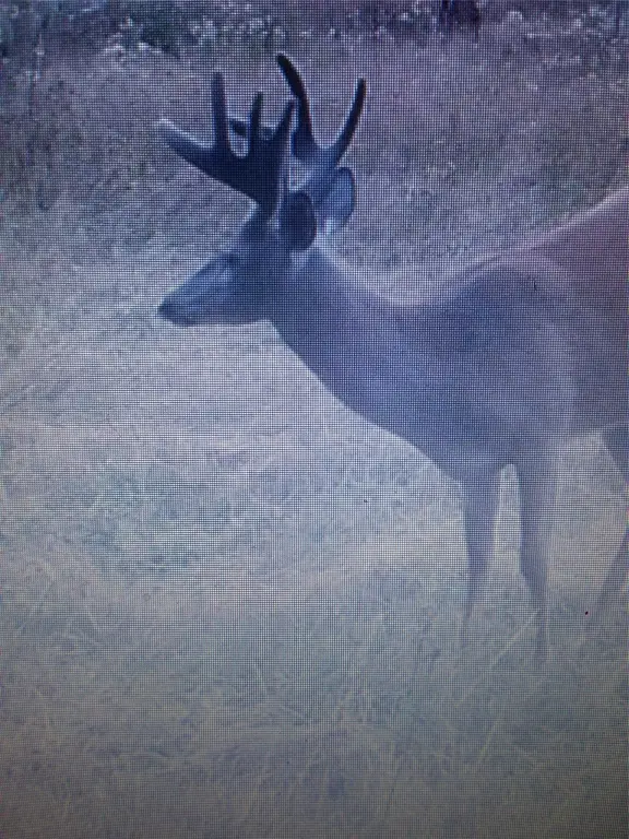 Picture 36
