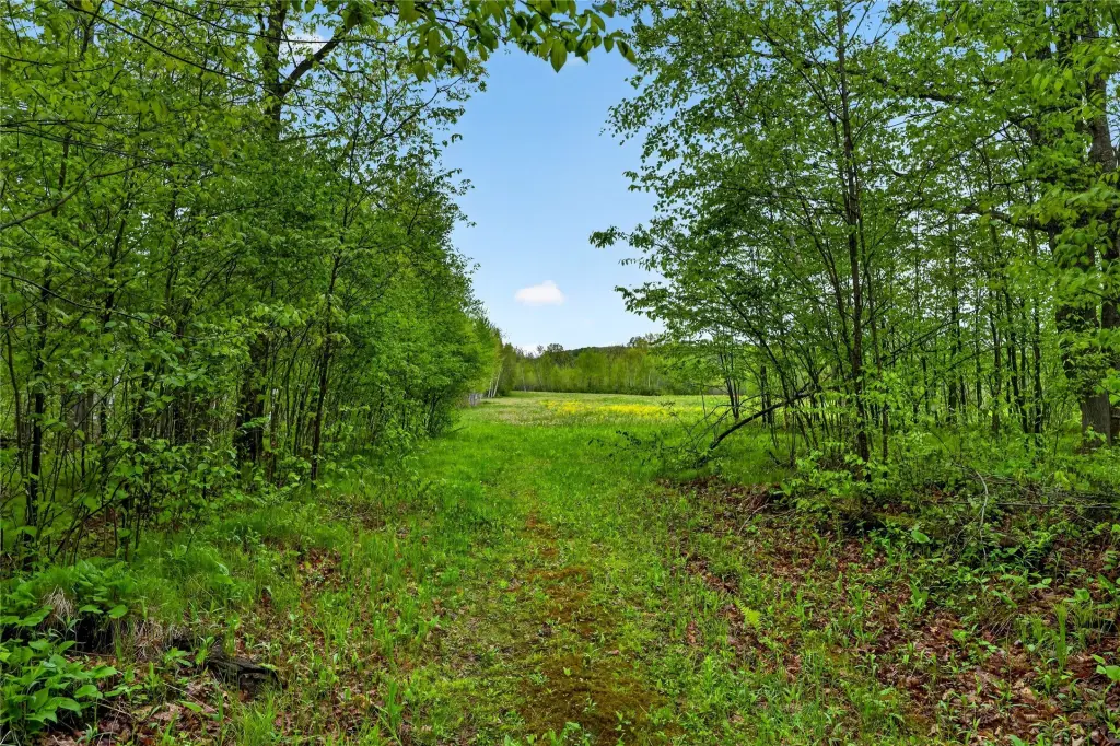 Picture 23