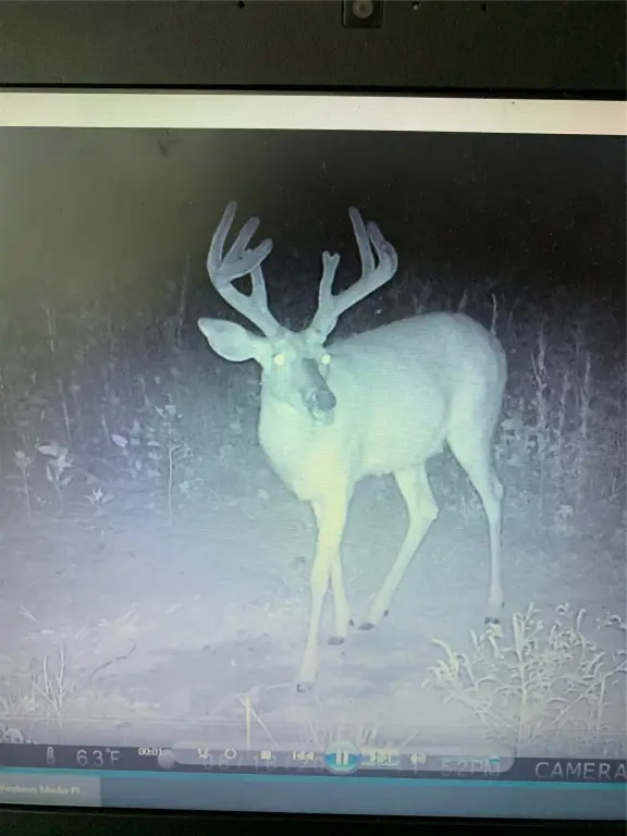 Picture 13