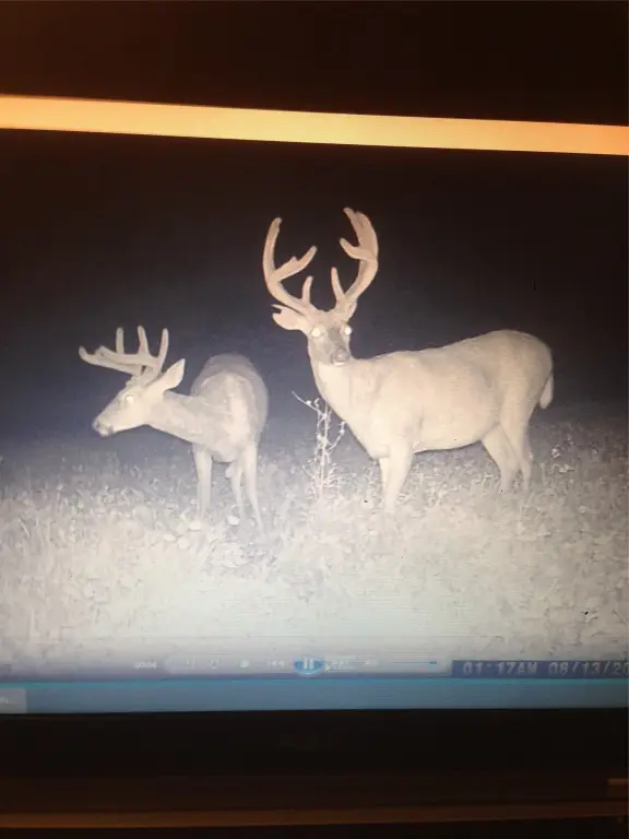 Picture 6