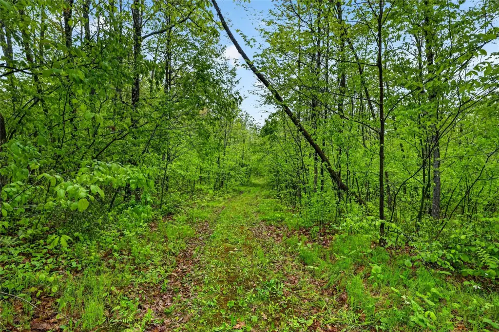 Picture 24