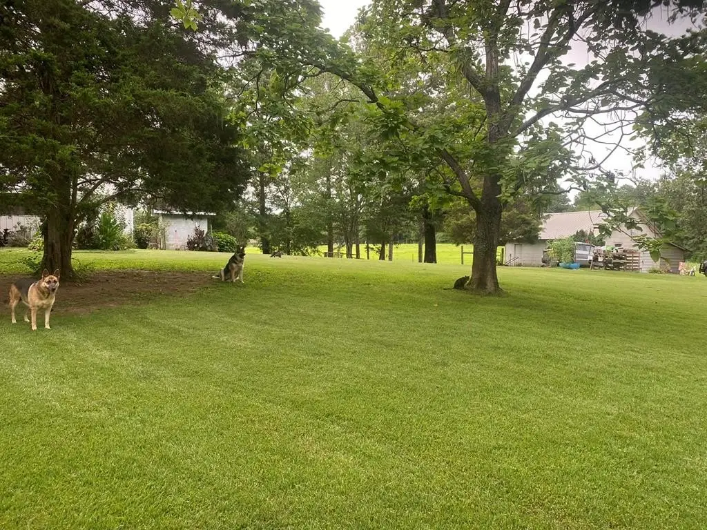 Picture 40
