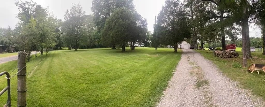 Picture 47