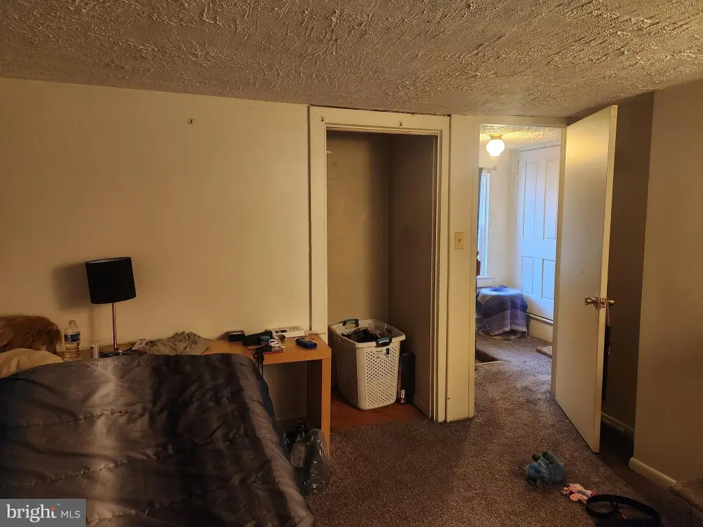 Picture 23