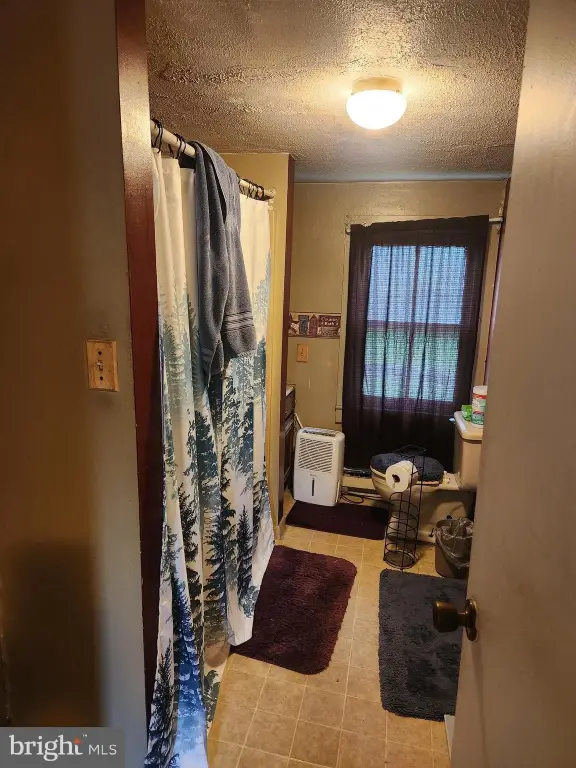Picture 24
