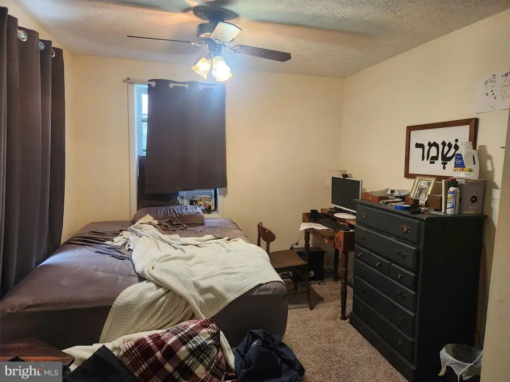 Picture 19