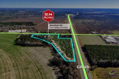 Wooded Loblolly Pine Farmland Parcel