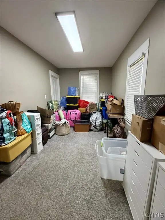 Picture 15