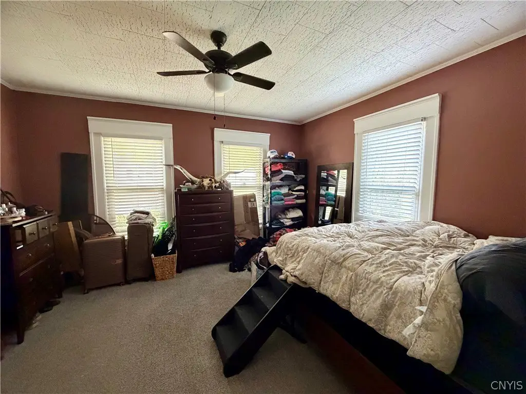 Picture 12