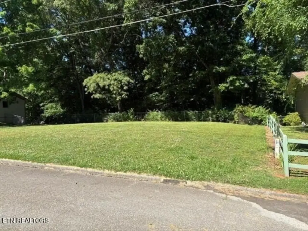 Picture 3