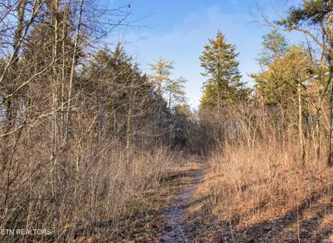 Unrestricted Land Near Downtown Knoxville