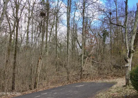 Unrestricted Lot in Knoxville, TN