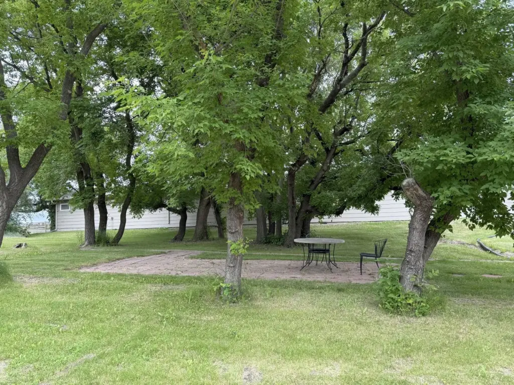 Picture 6