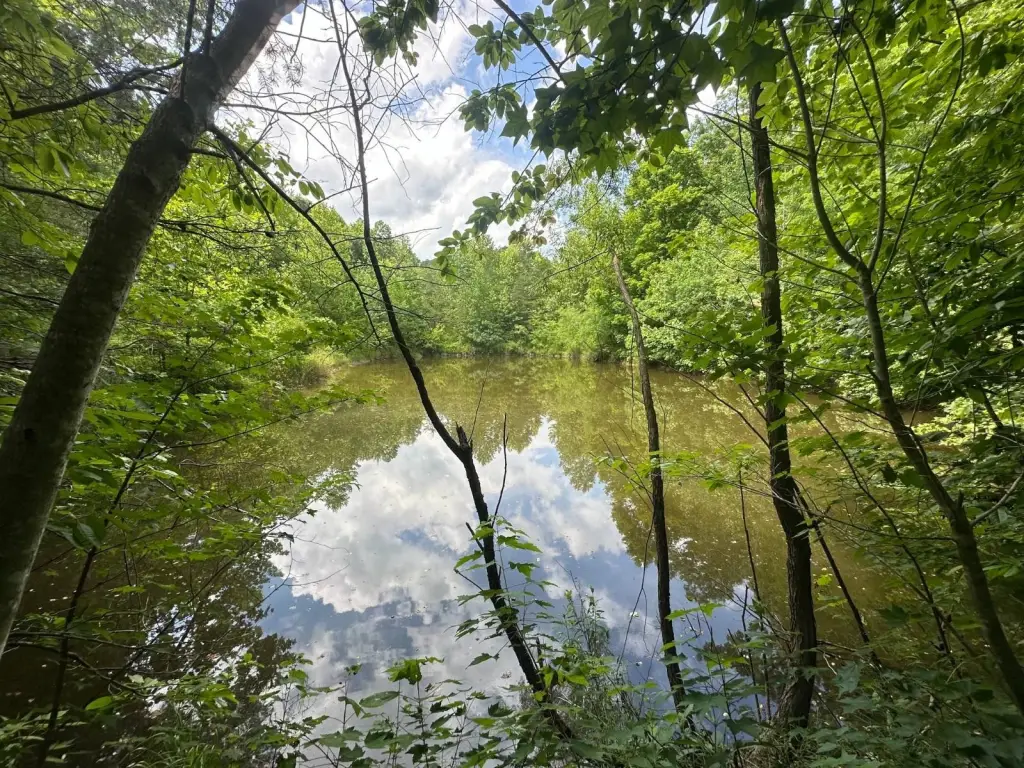 Picture 8